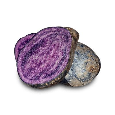 Pommes de terre violettes