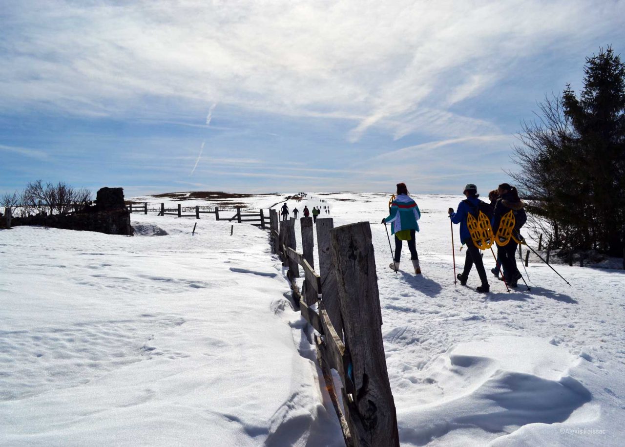 Randonnée dans la neige