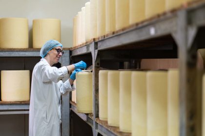 Analyse qualité du fromage en cave