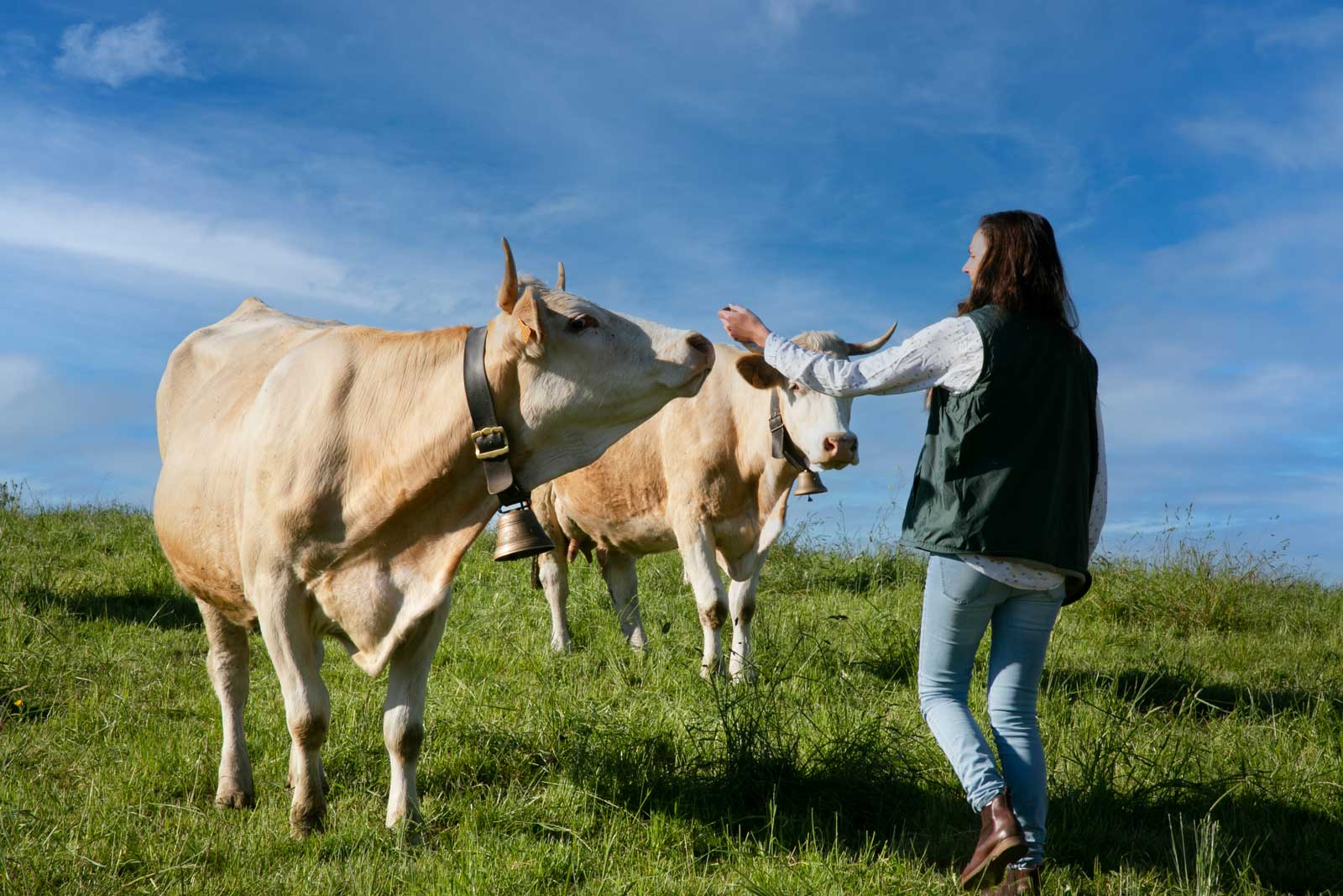 Productrice et vaches dans le pré