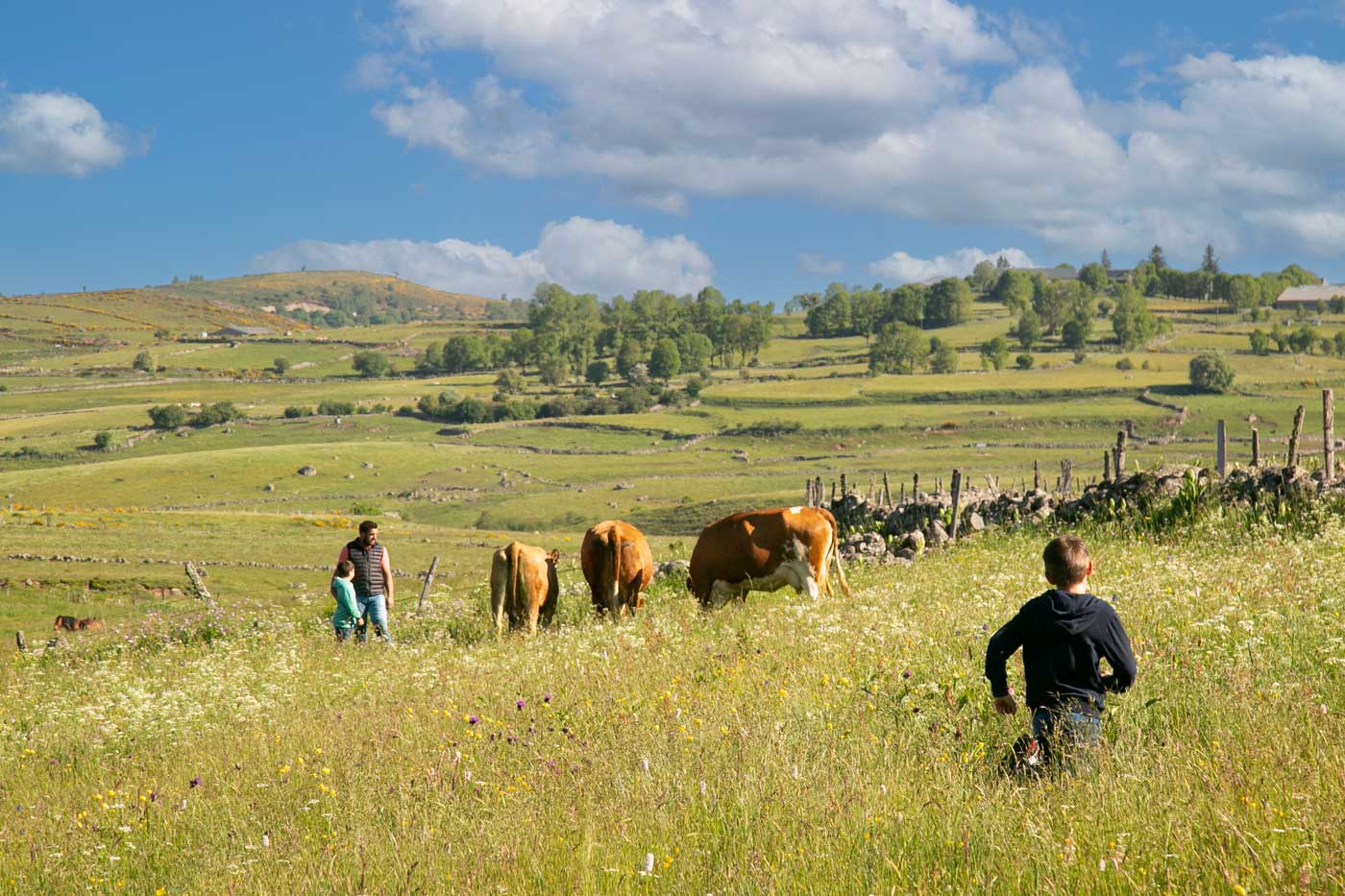 Famille en visite de ferme Laguiole AOP