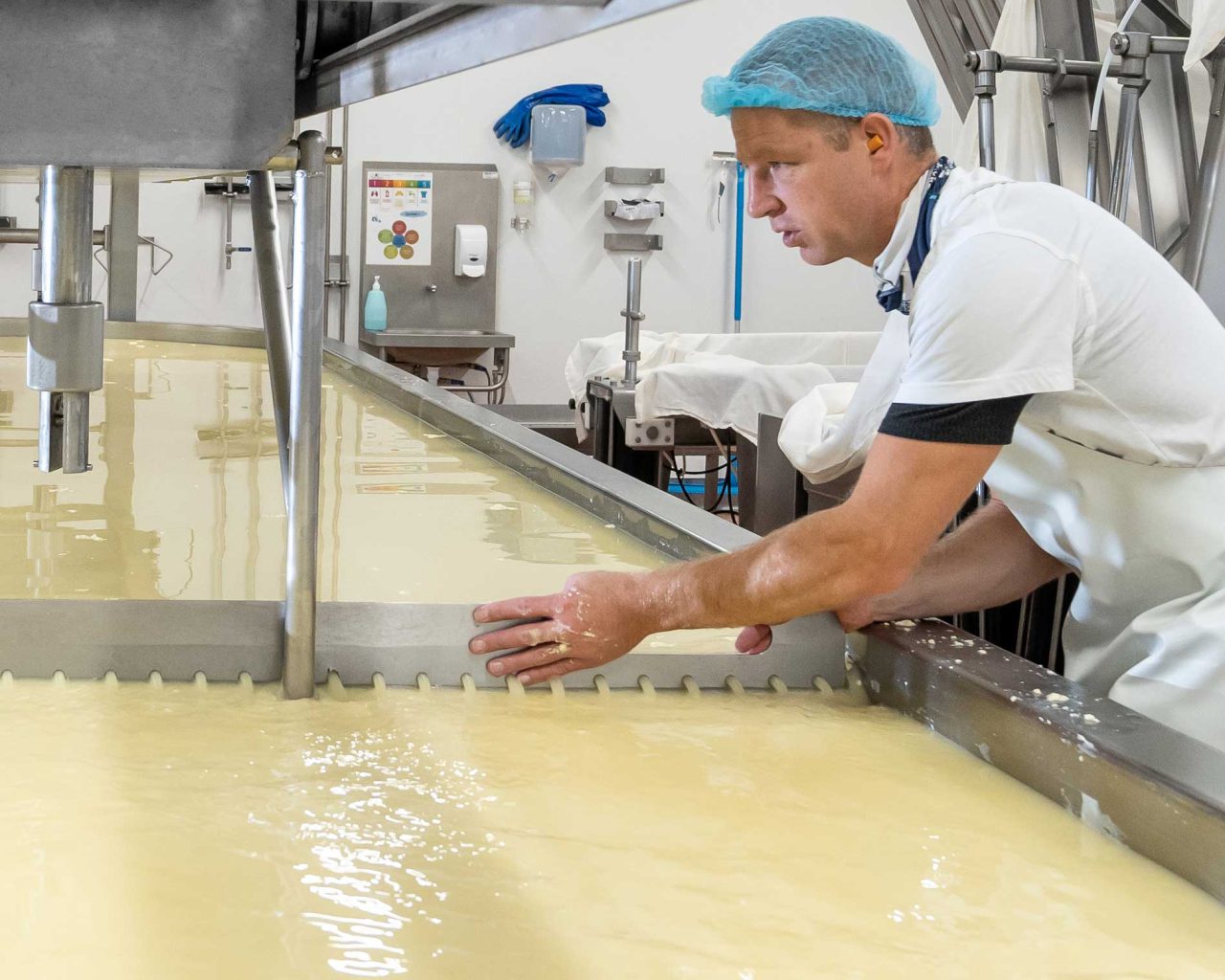 Aide fromager à Thérondels