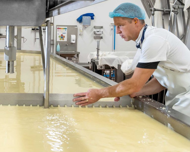 Aide fromager à Thérondels