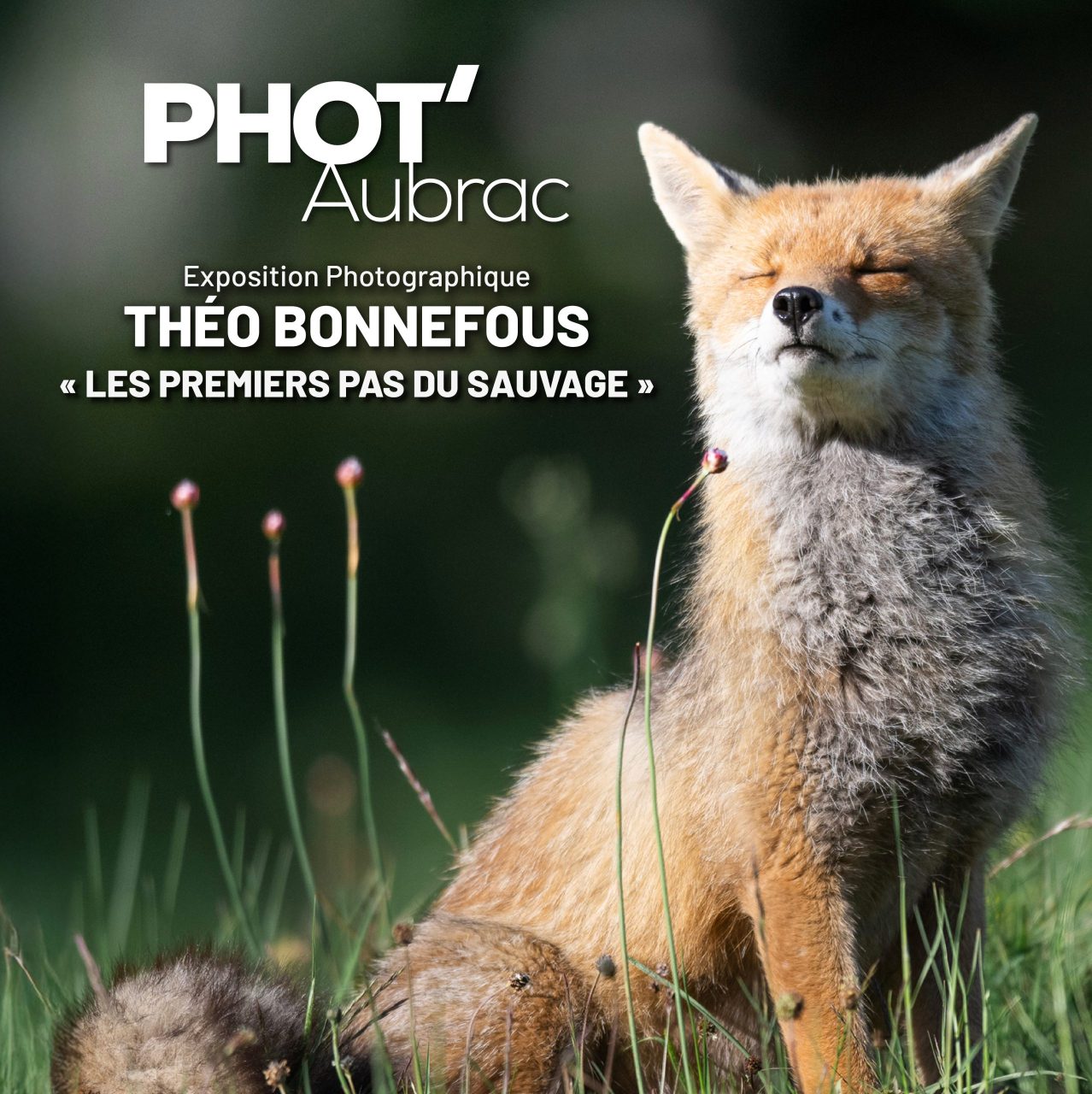 Phot'Aubrac-2025-Jeune-Montagne-Théo-Bonnefous